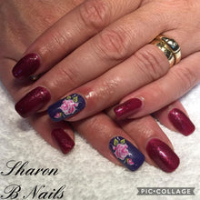 Load image into Gallery viewer, CAROL 'Sheeny' HAILSTONE One Stroke Flowers 2