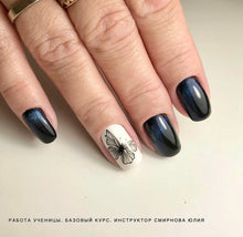 Load image into Gallery viewer, IBDI NAILS - AIR  slider 124 - Black Butterflies and dragonflies