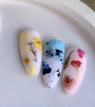 Load image into Gallery viewer, IBDI NAILS slider - COLORFUL 93 - Pressed Flowers