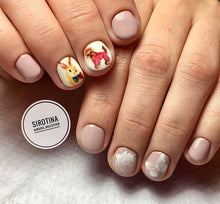 Load image into Gallery viewer, IBDI NAILS - AIR  slider 112 - White flowers &amp; Butterflies