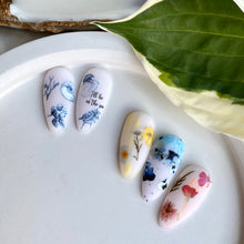 Load image into Gallery viewer, IBDI NAILS slider - COLORFUL 93 - Pressed Flowers