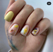 Load image into Gallery viewer, IBDI NAILS slider - COLORFUL 93 - Pressed Flowers