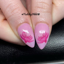 Load image into Gallery viewer, Cherry Blossom