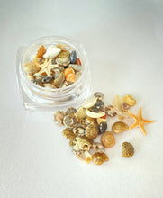 Load image into Gallery viewer, Teeny Tiny REAL Sea Shells for Nail Art