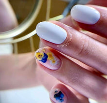 Load image into Gallery viewer, IBDI NAILS slider - COLORFUL 93 - Pressed Flowers
